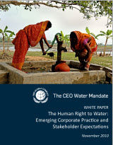 The Human Right to Water: Emerging Corporate Practice and Stakeholder Expectations